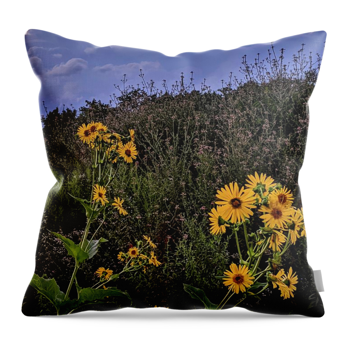  Throw Pillow featuring the photograph Flowers at Brandywine Falls by Brad Nellis