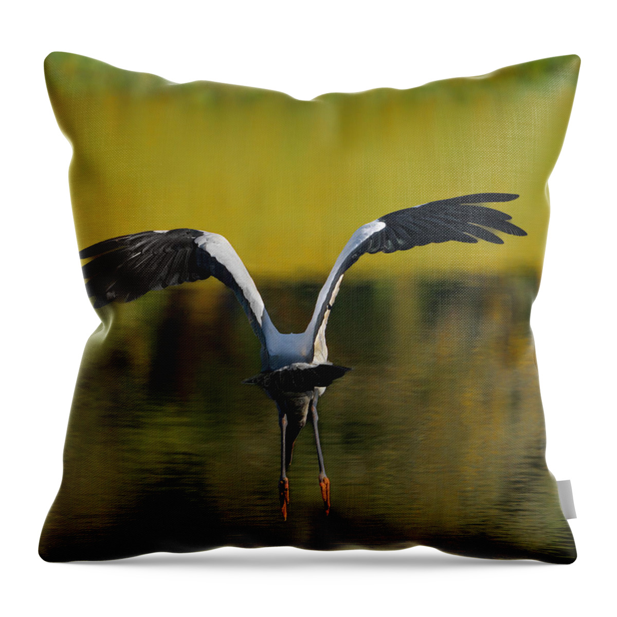 Birds Throw Pillow featuring the photograph Flying Wood Stork by Larry Marshall