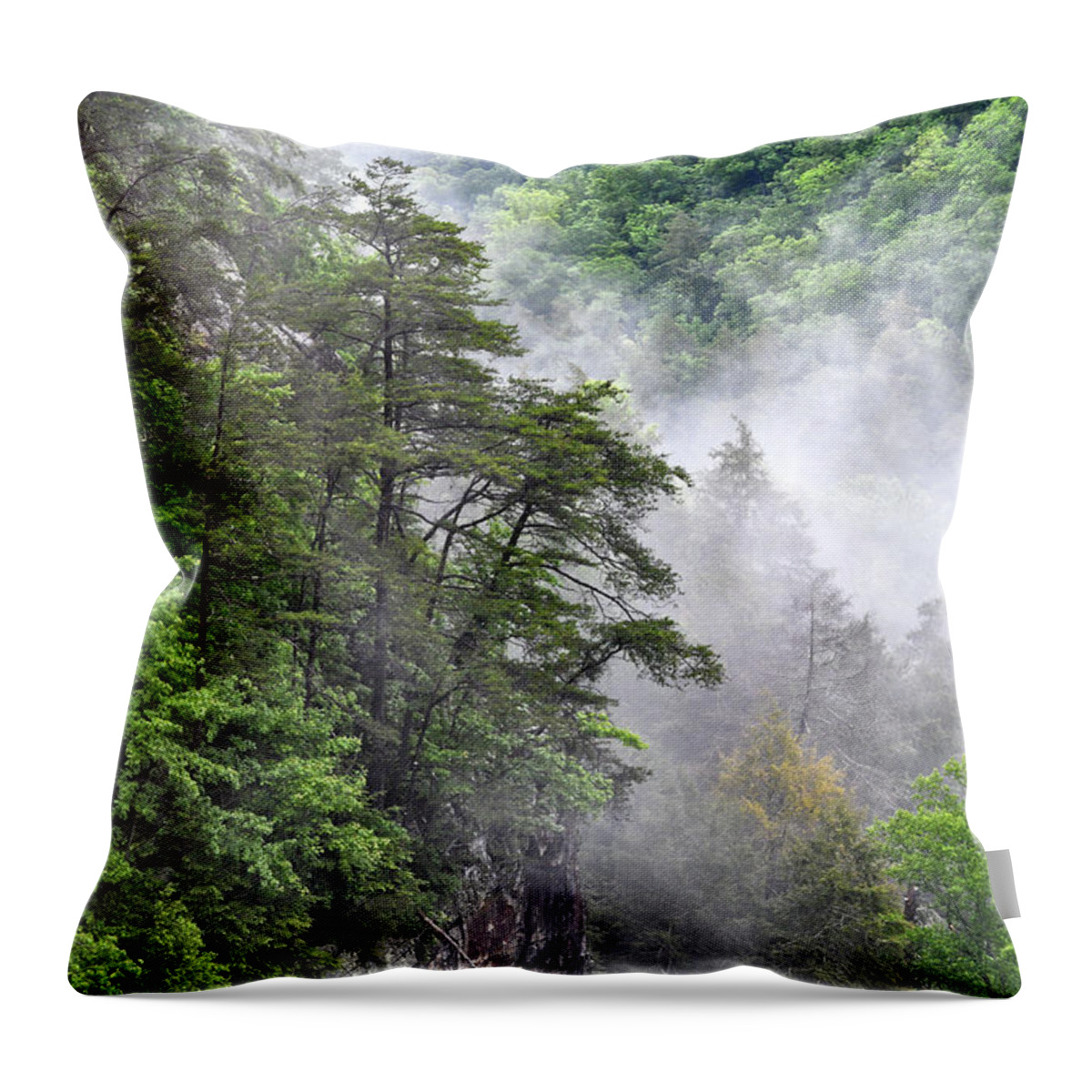 Fall Creek Falls Throw Pillow featuring the photograph Fog In Valley 2 by Phil Perkins
