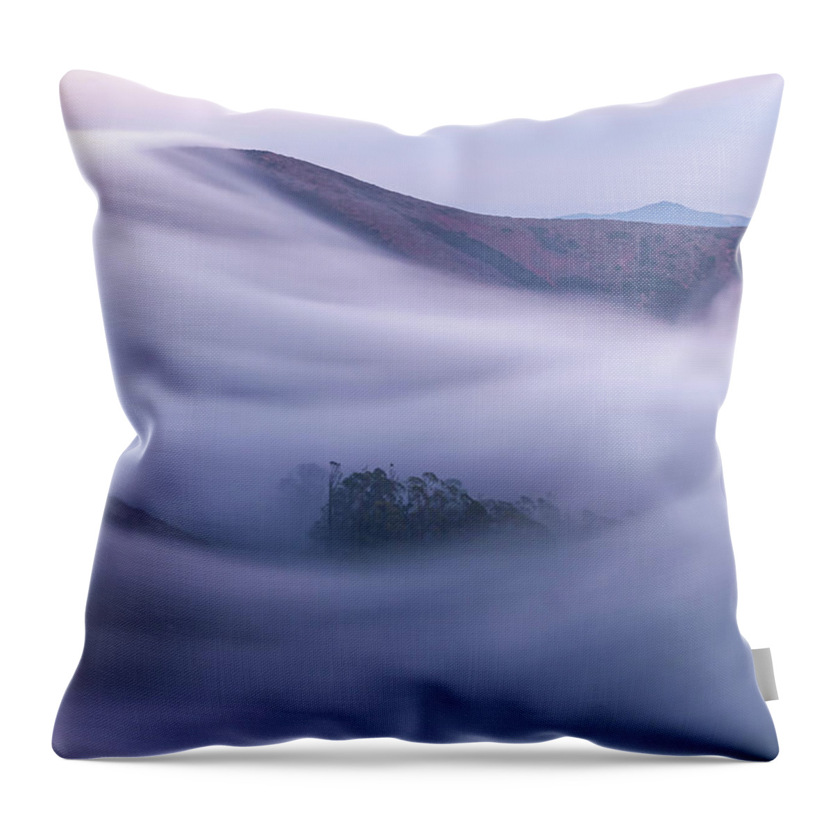 Shoreline Throw Pillow featuring the photograph Fragile by Jonathan Nguyen