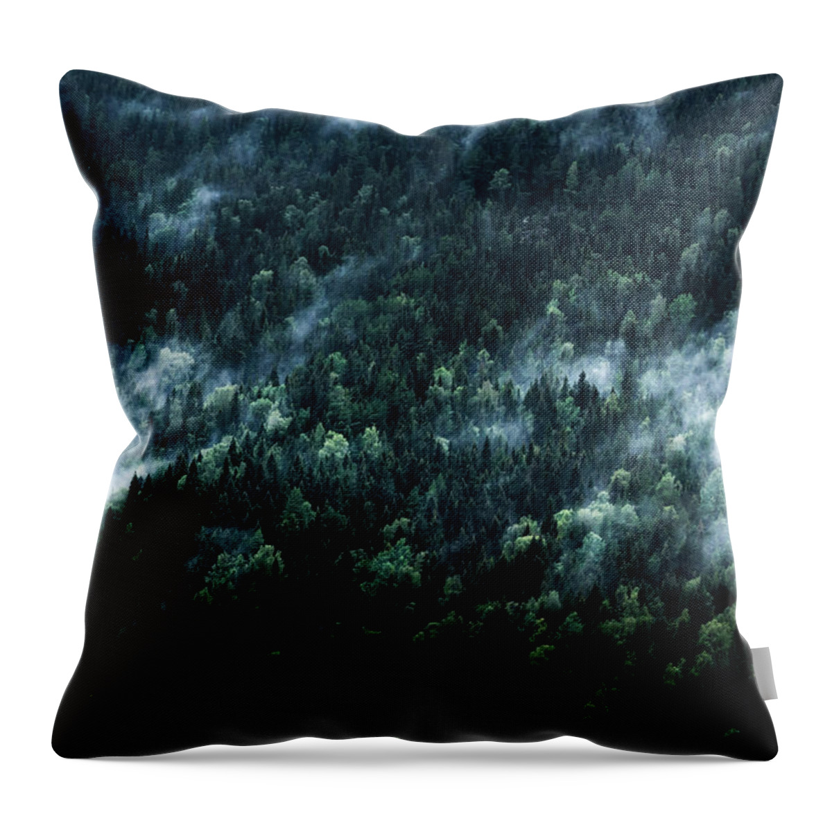 Fog Throw Pillow featuring the photograph Foggy Forest Mountain by Nicklas Gustafsson