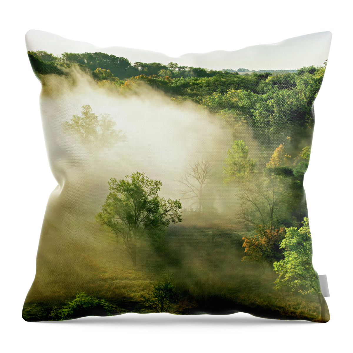 Landscape Throw Pillow featuring the photograph Foggy Morning by Lens Art Photography By Larry Trager