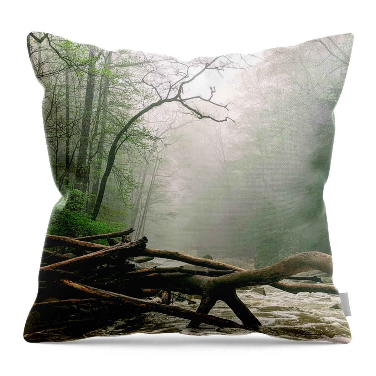 River Throw Pillow featuring the photograph Foggy River by Brad Nellis