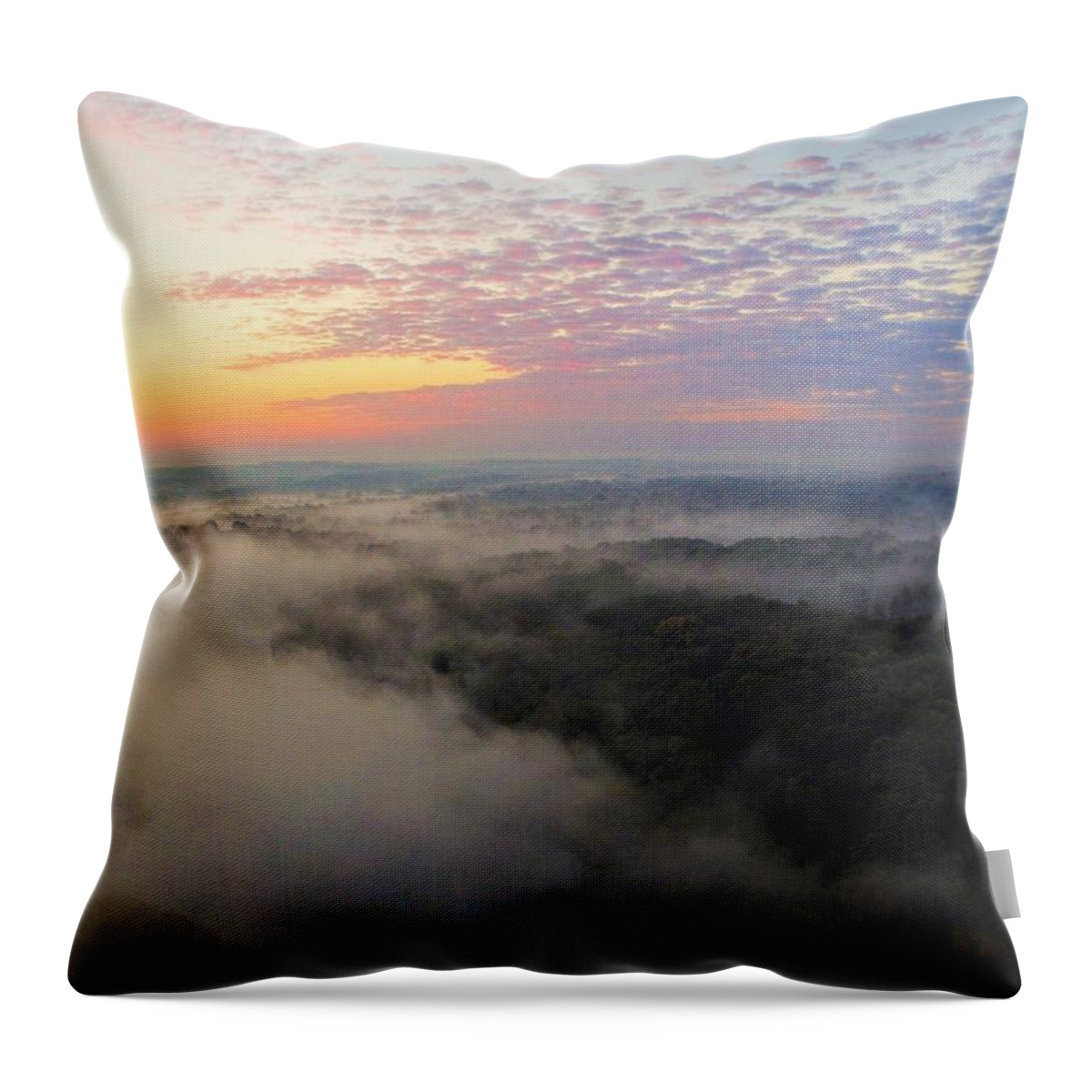  Throw Pillow featuring the photograph Foggy Sunrise by Brad Nellis