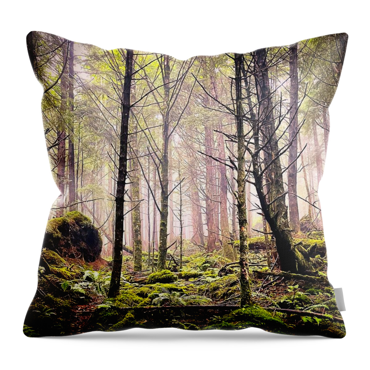 Fog Throw Pillow featuring the photograph Foggy woods by Bradley Morris