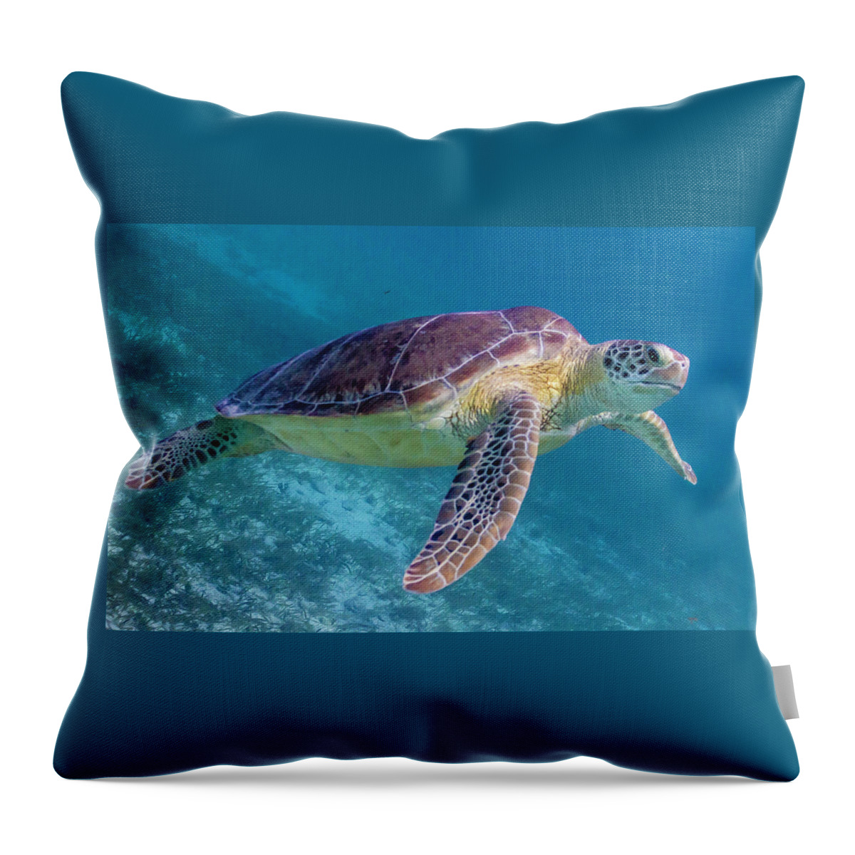 Animals Throw Pillow featuring the photograph Follow Me by Lynne Browne