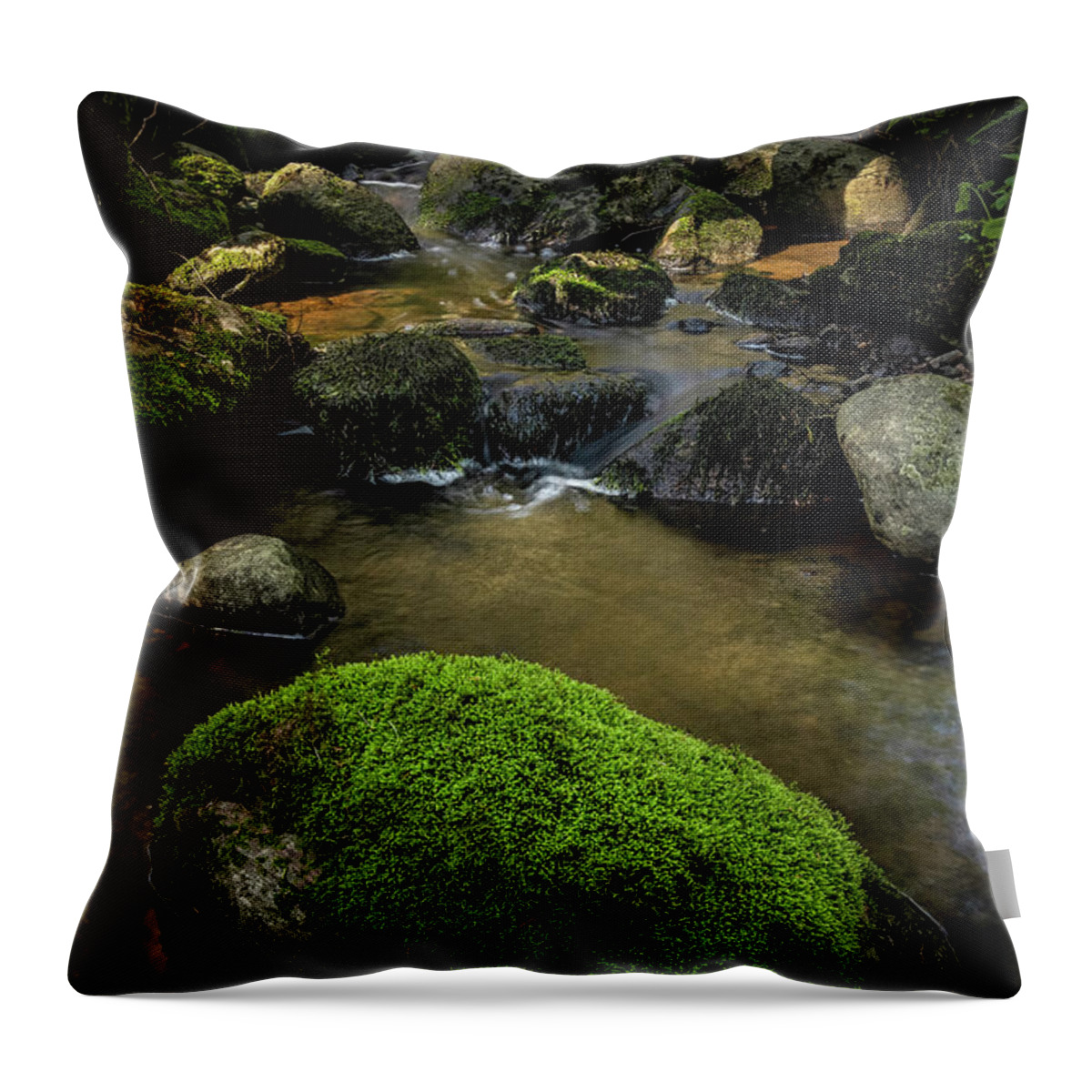 Forest Throw Pillow featuring the photograph Forest Creek by Nicklas Gustafsson
