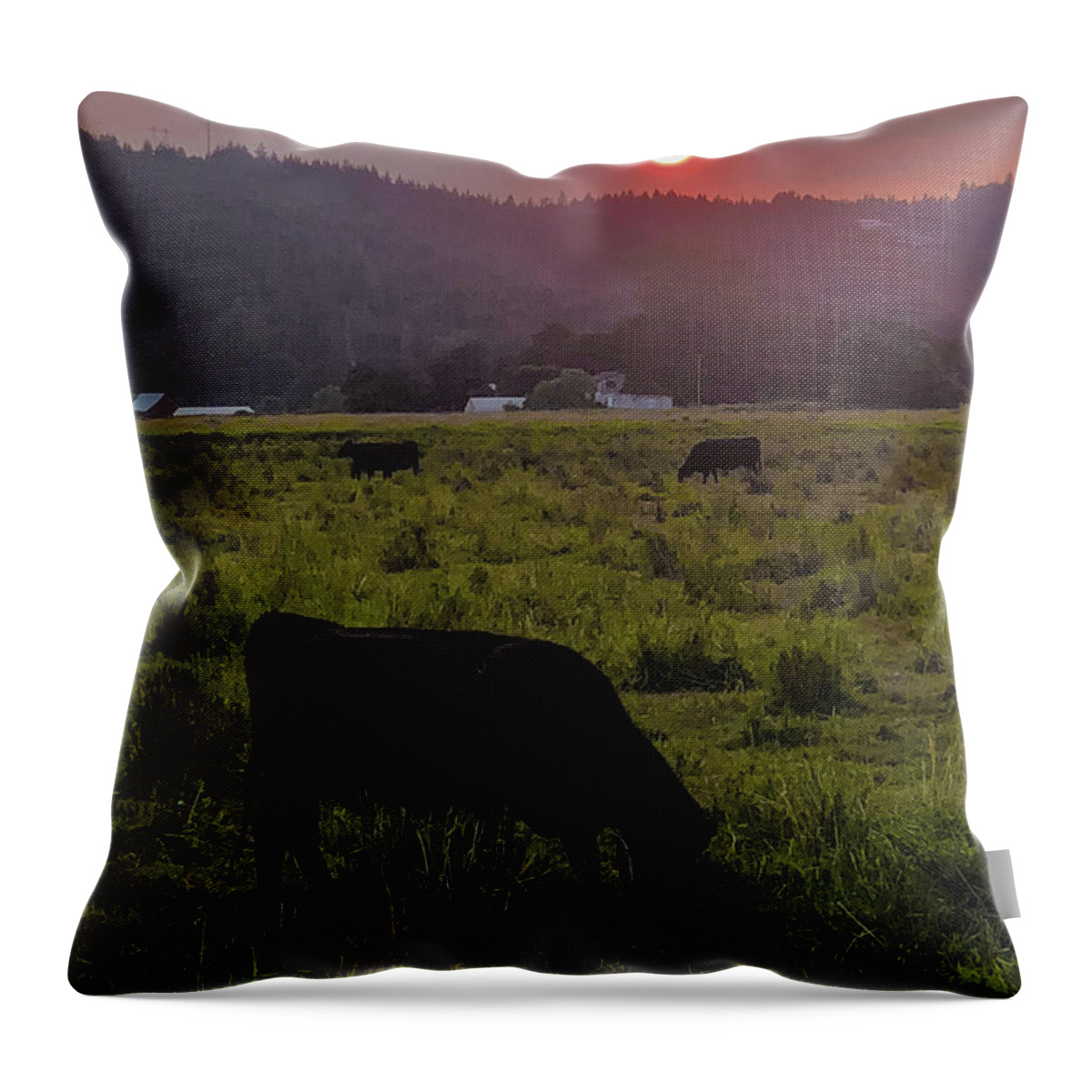 Forest Throw Pillow featuring the photograph Forest Fire Haze by Grey Coopre
