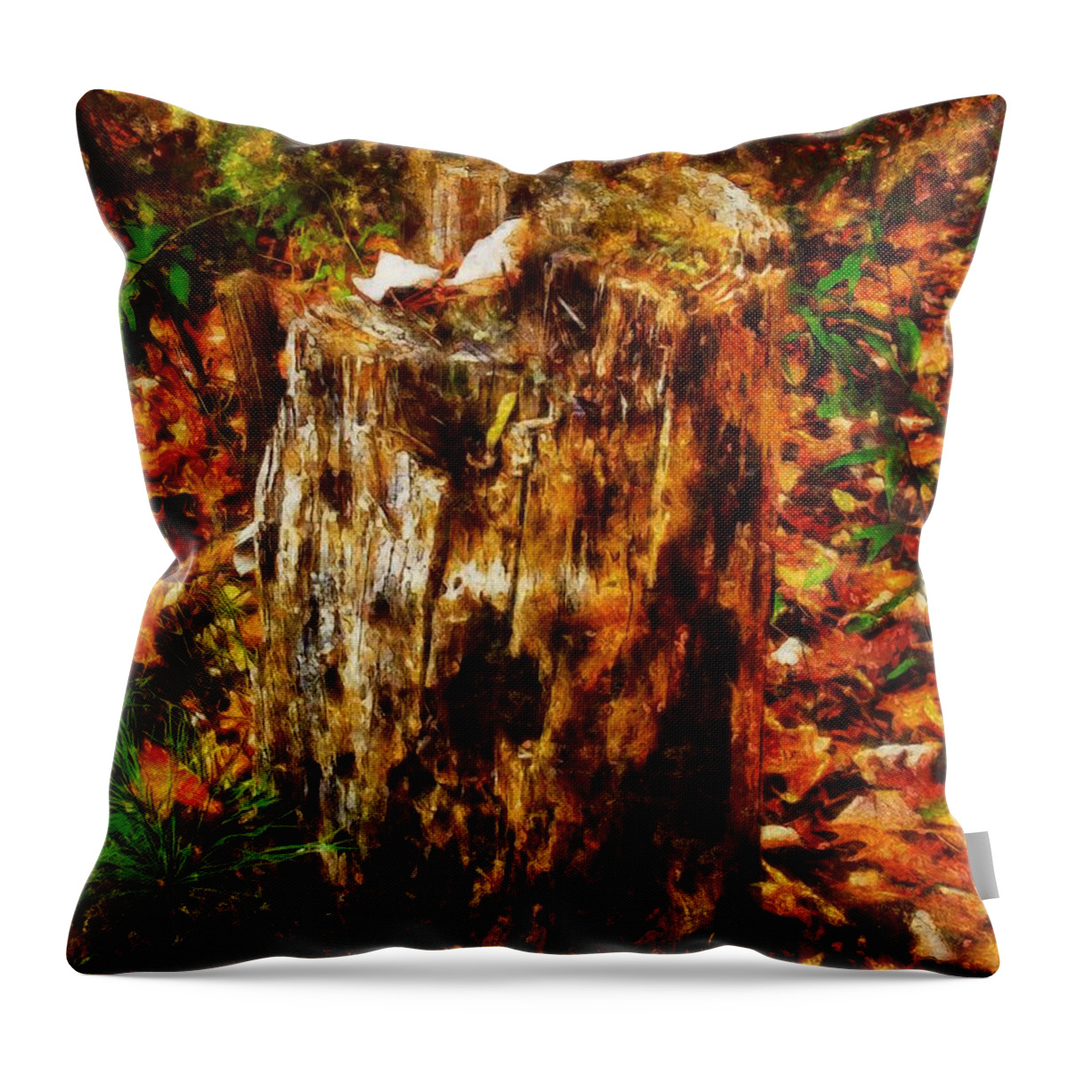 Stump Throw Pillow featuring the mixed media Forest Floor in Autumn by Christopher Reed