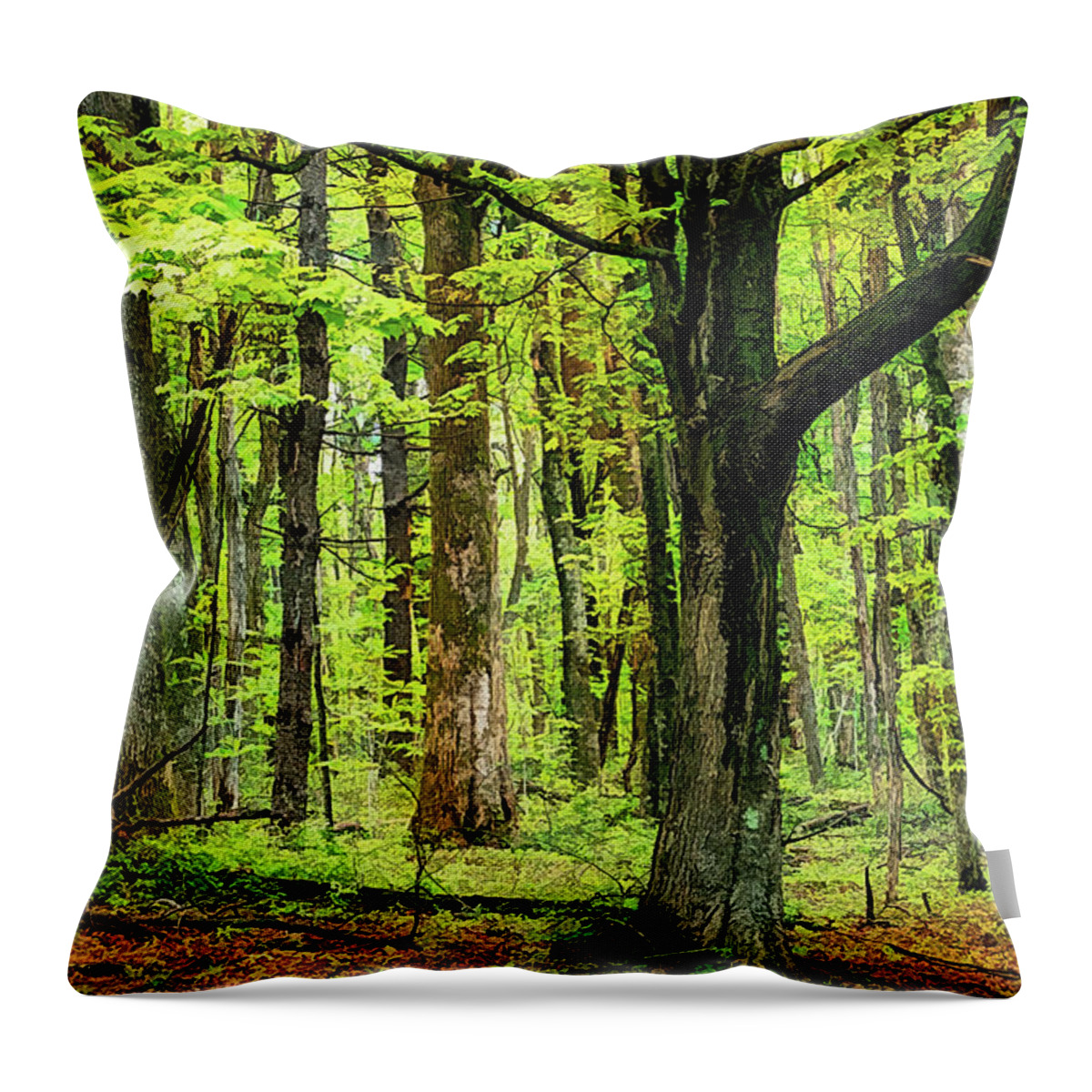 Mountains Throw Pillow featuring the photograph Forest Floor Spring Trees fx 503 by Dan Carmichael