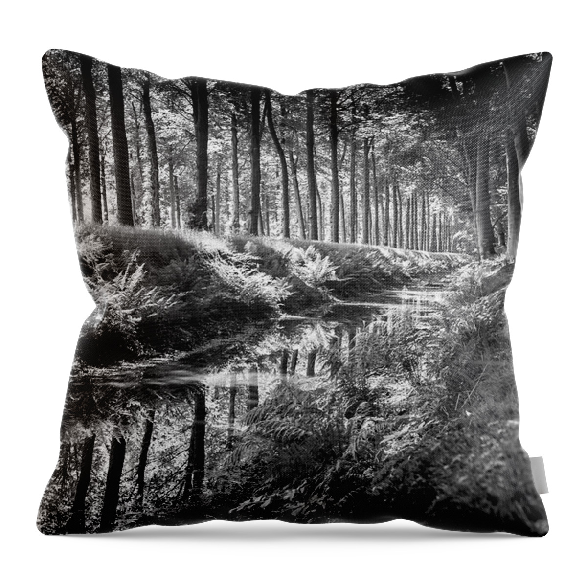 Black&white Throw Pillow featuring the photograph Forest by MPhotographer