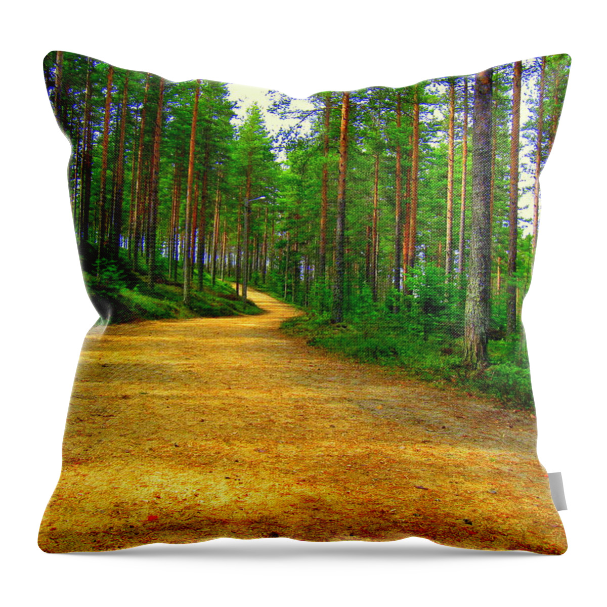 Forest Throw Pillow featuring the photograph Forest trail by Pauli Hyvonen