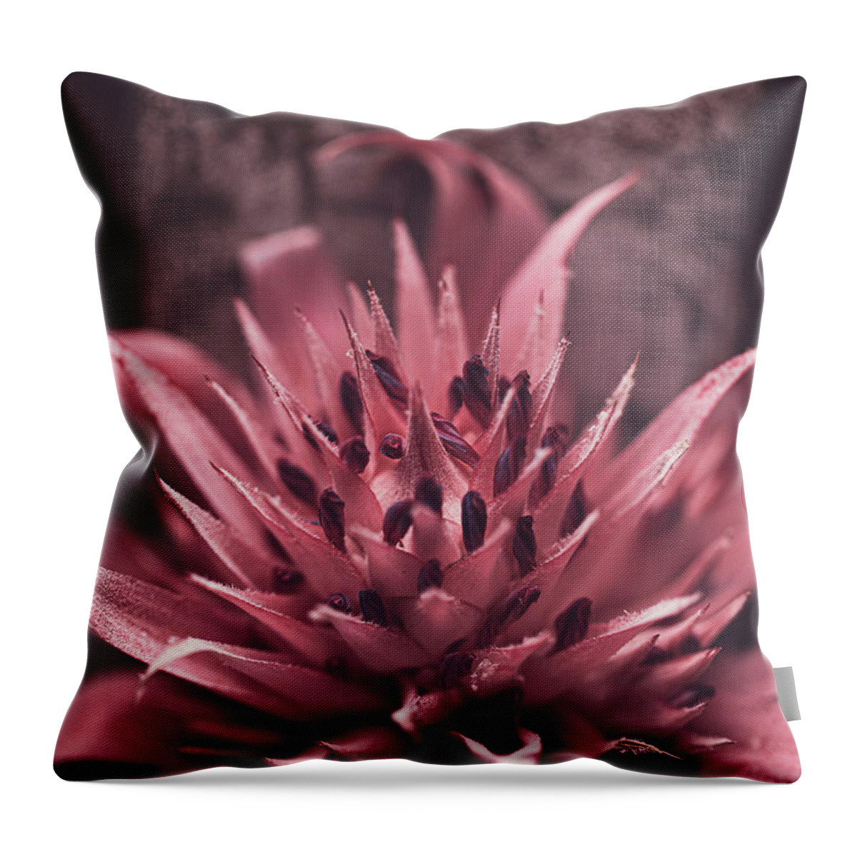 Mountain Throw Pillow featuring the photograph Forgiveness Flower by Go and Flow Photos