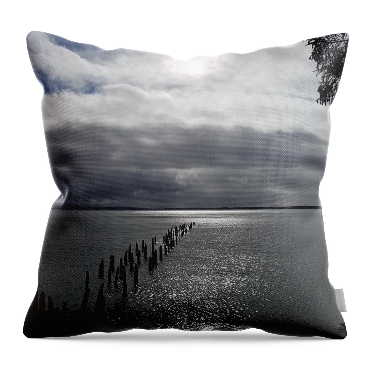 Dock Throw Pillow featuring the photograph Forgotten Dock by Brent Knippel