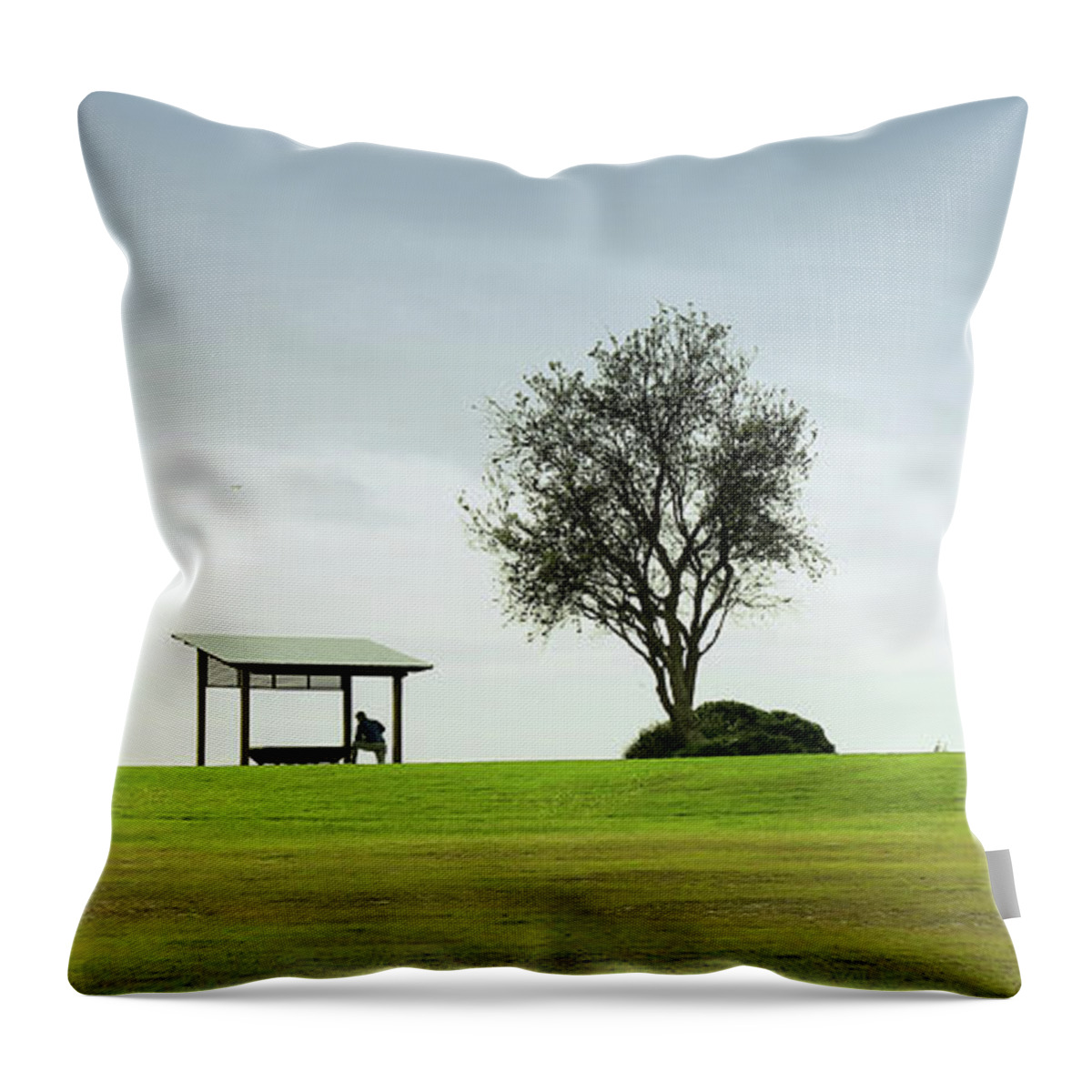 Forster Photo Prints Throw Pillow featuring the digital art Forster 81 by Kevin Chippindall