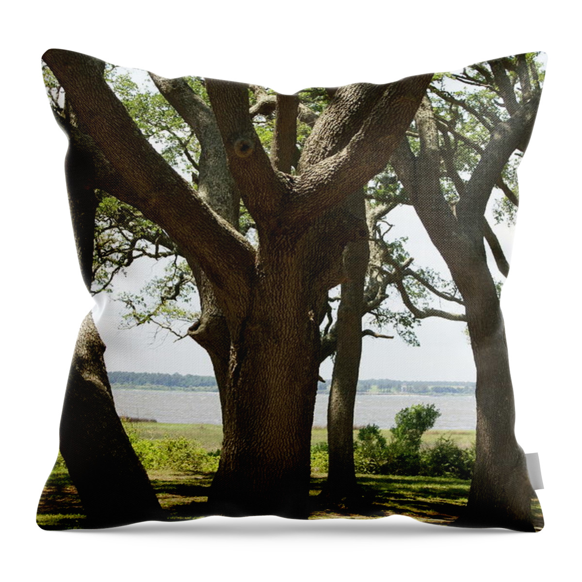  Throw Pillow featuring the photograph Fort Fisher Oak by Heather E Harman