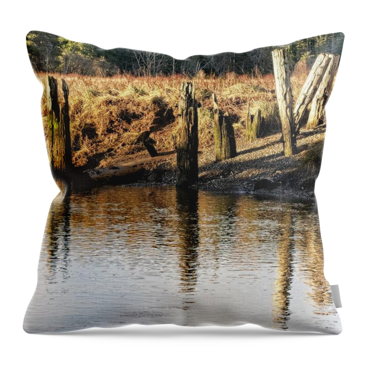 Colors Throw Pillow featuring the photograph Foulweather Posts by David Desautel