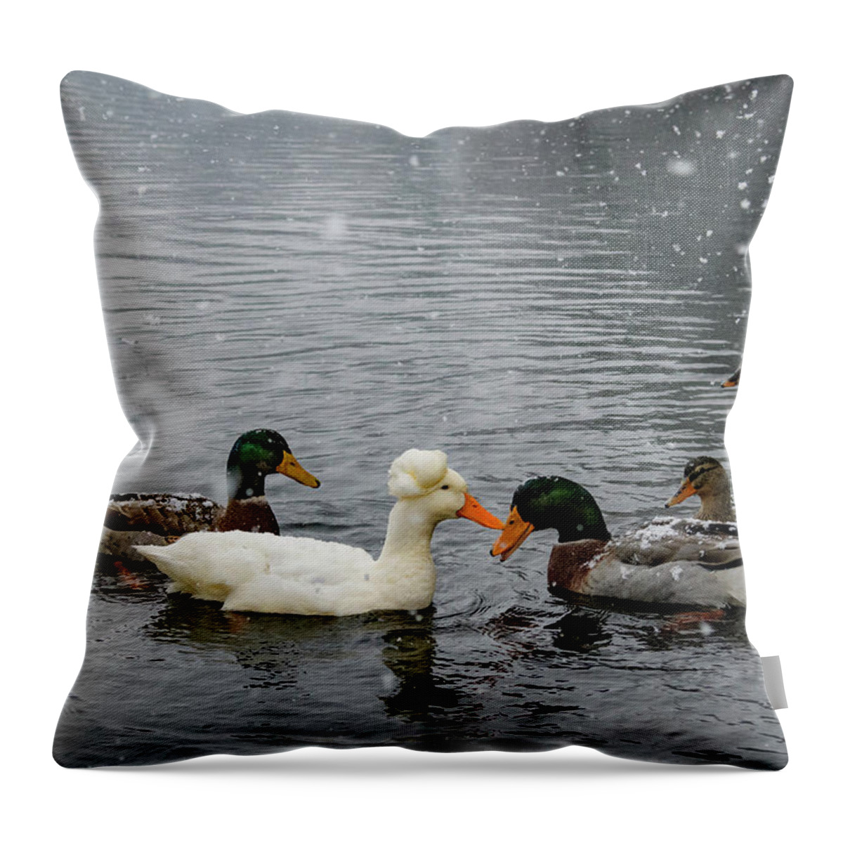 North America Throw Pillow featuring the photograph Fowl Wedding by Melissa Southern