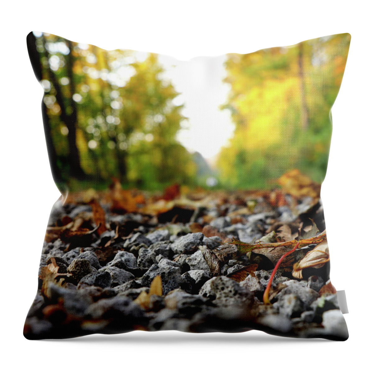 Autumn Throw Pillow featuring the photograph Freak of nature in czech road in forest by Vaclav Sonnek