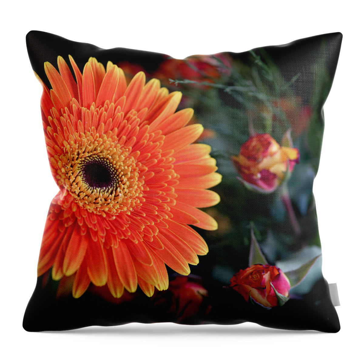Daisies Throw Pillow featuring the photograph Fresh beautiful orange daisy flower blossom. Blooming flower by Michalakis Ppalis