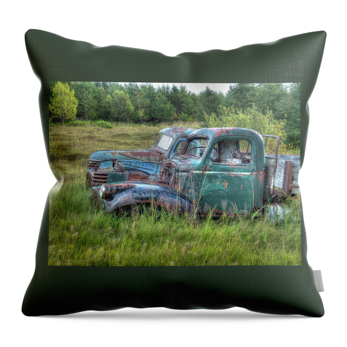 Ford Chevy Throw Pillow featuring the photograph Friends in Retirement by Kristia Adams