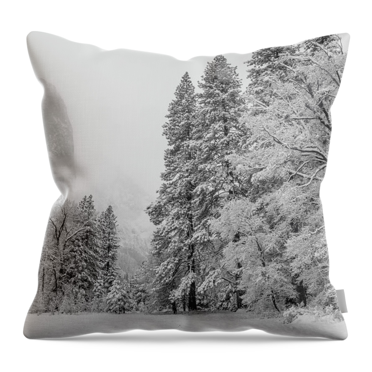 Landscape Throw Pillow featuring the photograph Frigid by Jonathan Nguyen