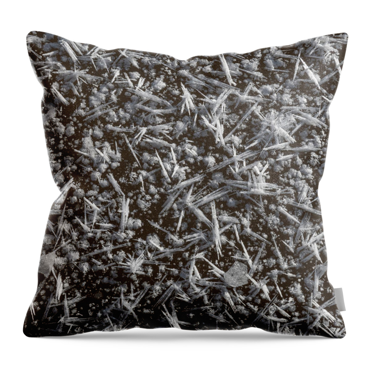 Frost Throw Pillow featuring the photograph Frost Pattern Background by Karen Rispin