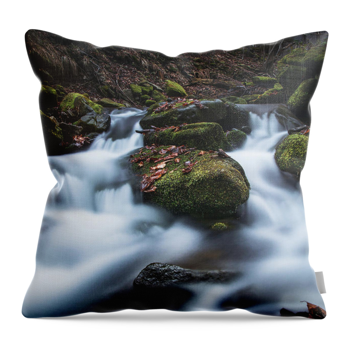 Splash Throw Pillow featuring the photograph Frosty waterfall Tosanovsky in autumn colours by Vaclav Sonnek