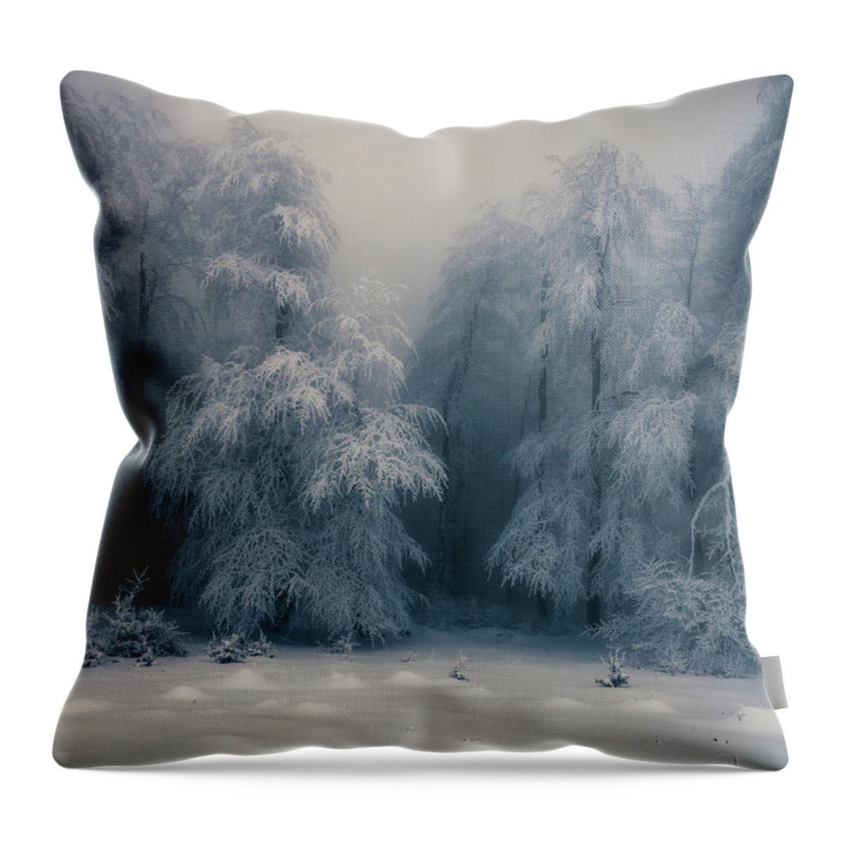 Mountain Throw Pillow featuring the photograph Frozen Forest by Evgeni Dinev