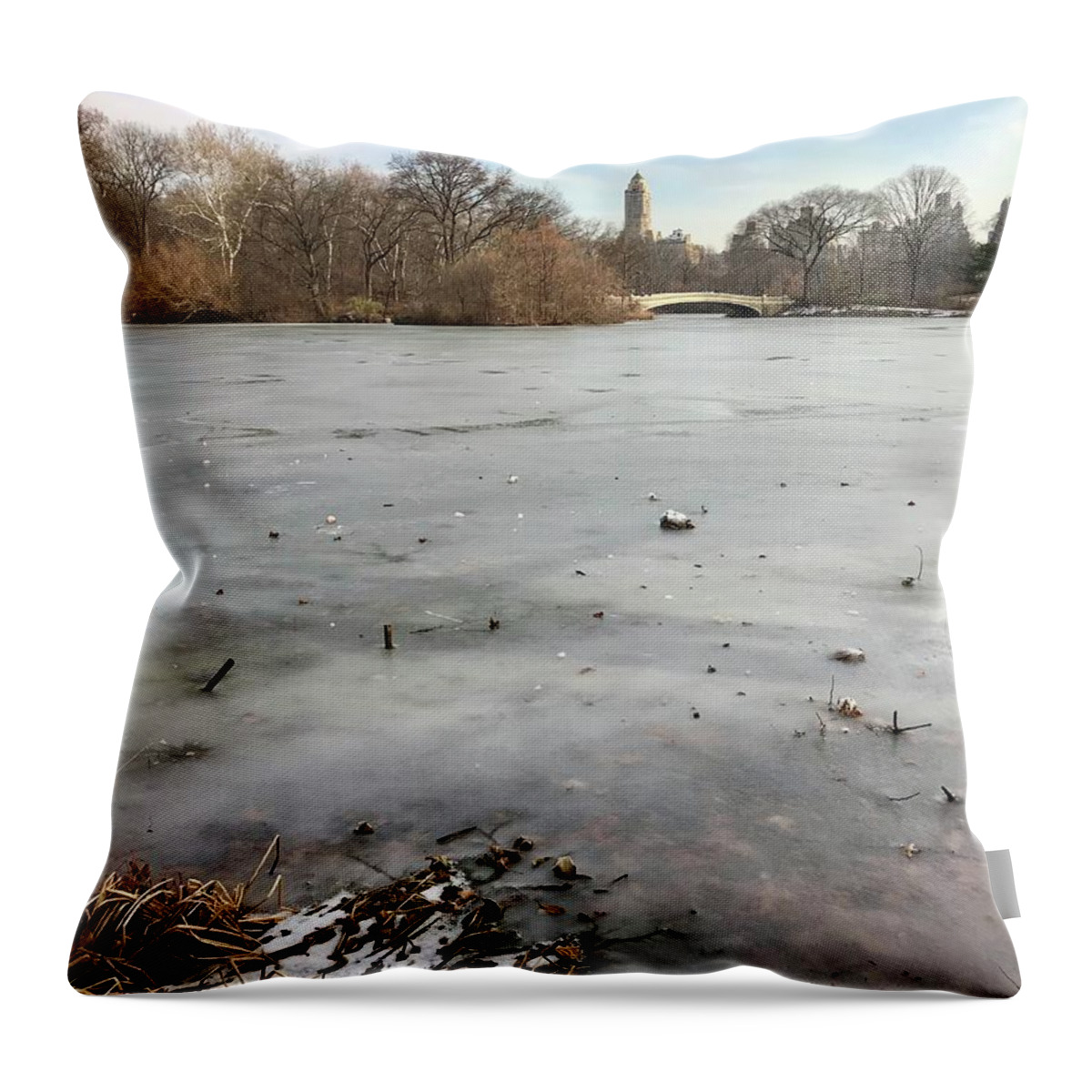 Throw Pillow featuring the photograph Frozen Lake, NYC in December by Judy Frisk
