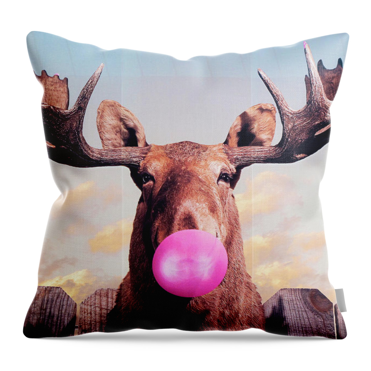 Funky Moose Throw Pillow featuring the photograph Funky Moose by Patty Colabuono