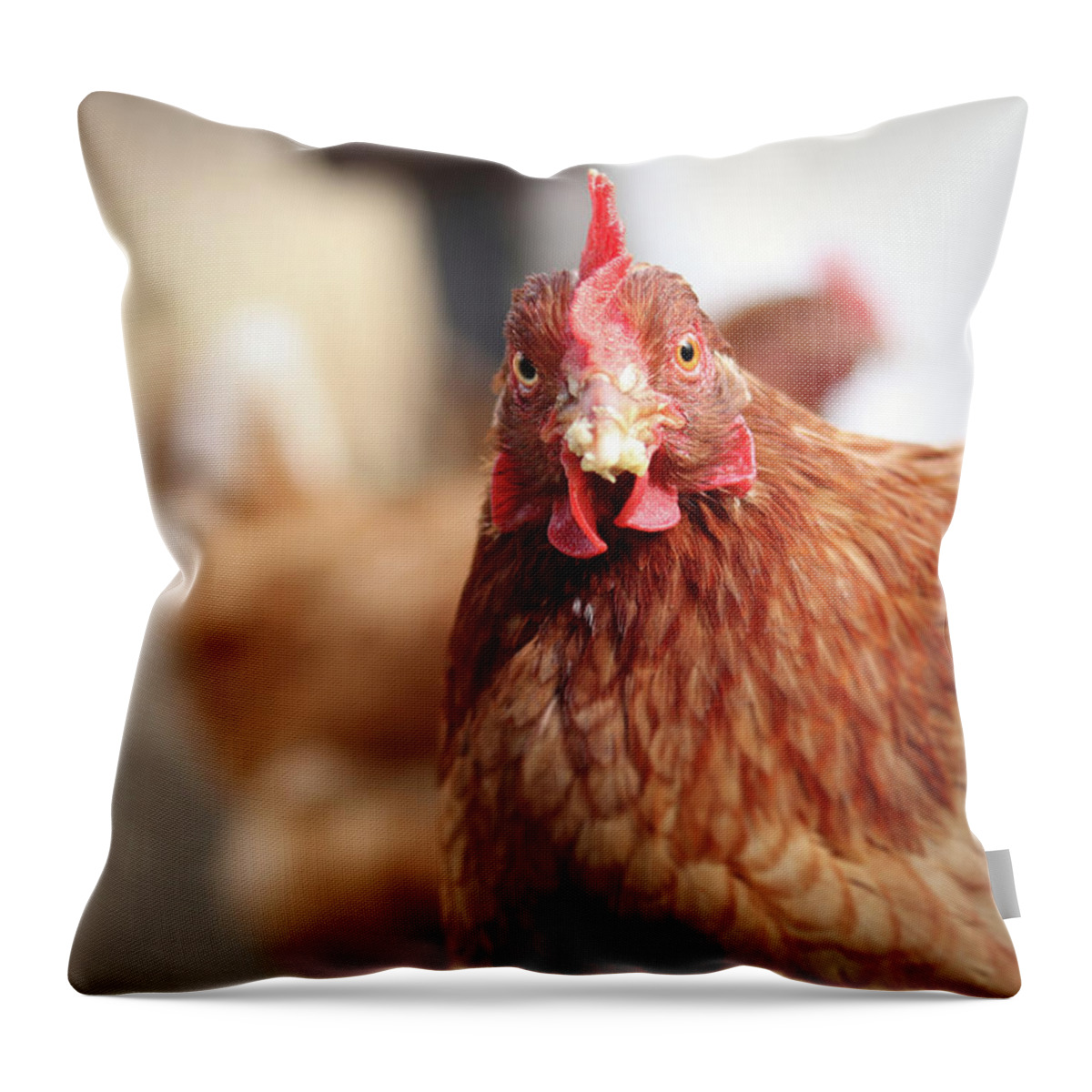 Salute Throw Pillow featuring the photograph Funny expression of domestic hen on the garden by Vaclav Sonnek