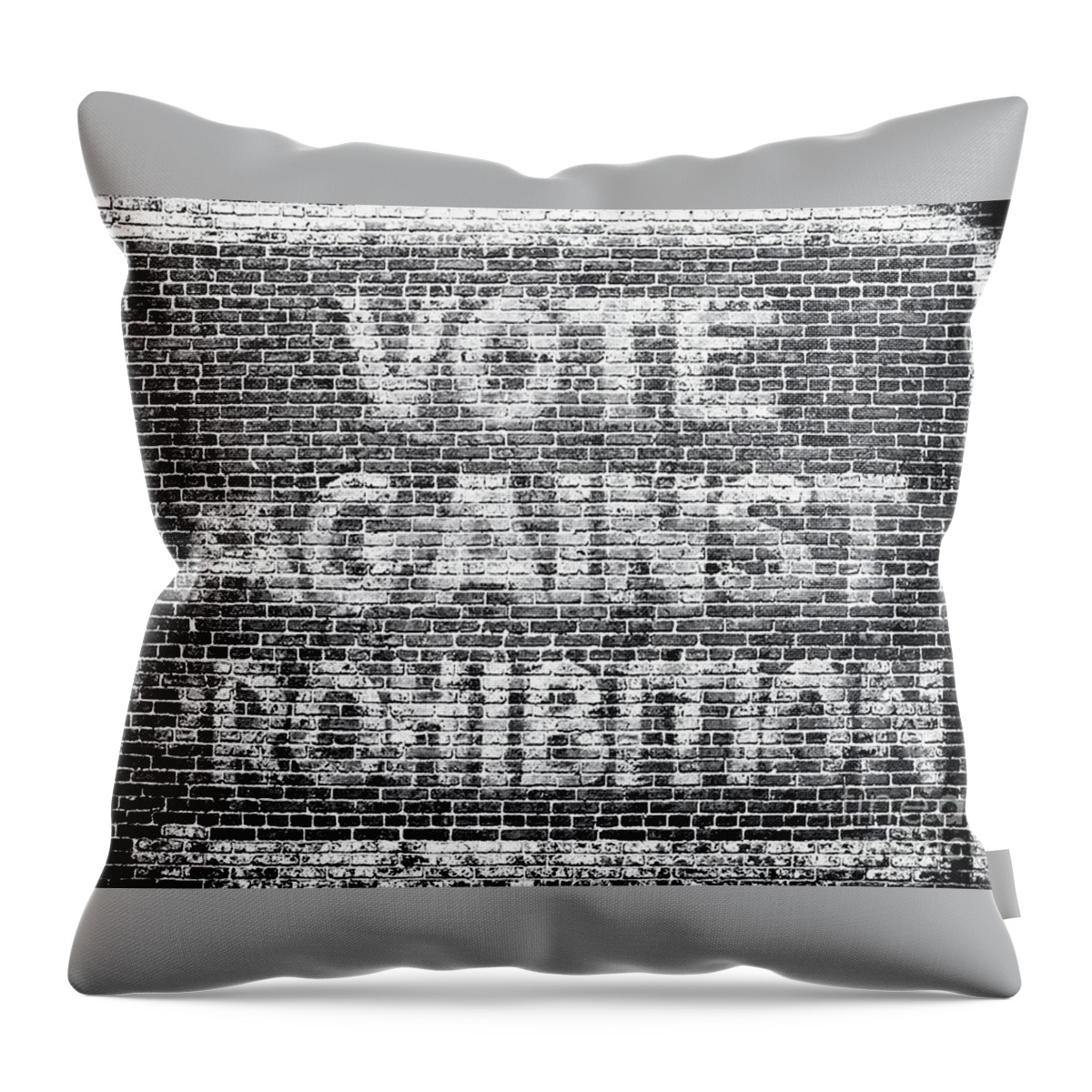 Prohibition. 20s Throw Pillow featuring the painting Funny Roaring Twenties No Prohibition Roaring 20s Gift Vote Against Prohibition Sign by Tony Rubino