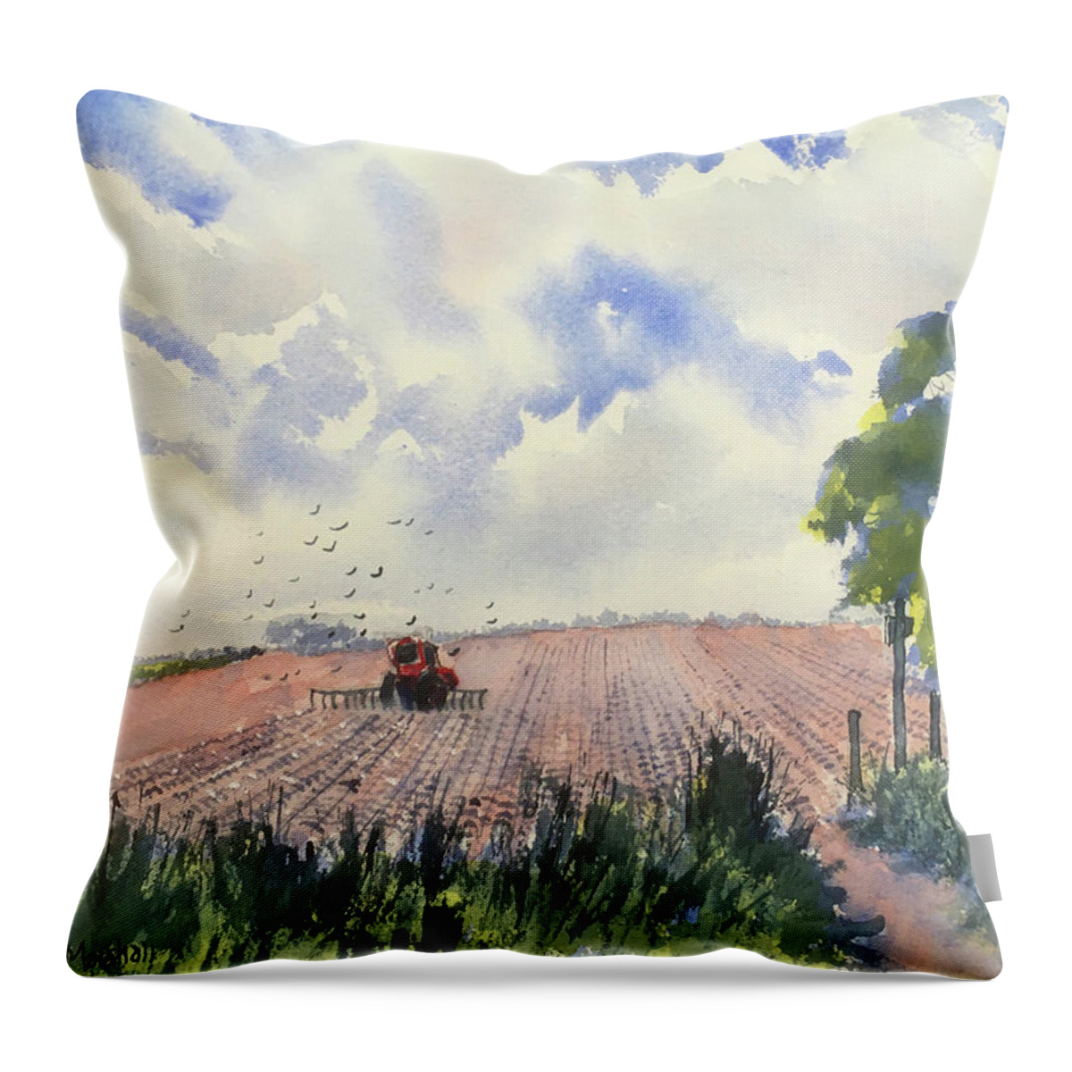 Watercolour Throw Pillow featuring the painting Furrows and Gulls by Glenn Marshall