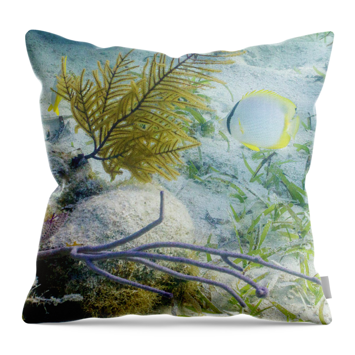 Animals Throw Pillow featuring the photograph Garden Spot by Lynne Browne