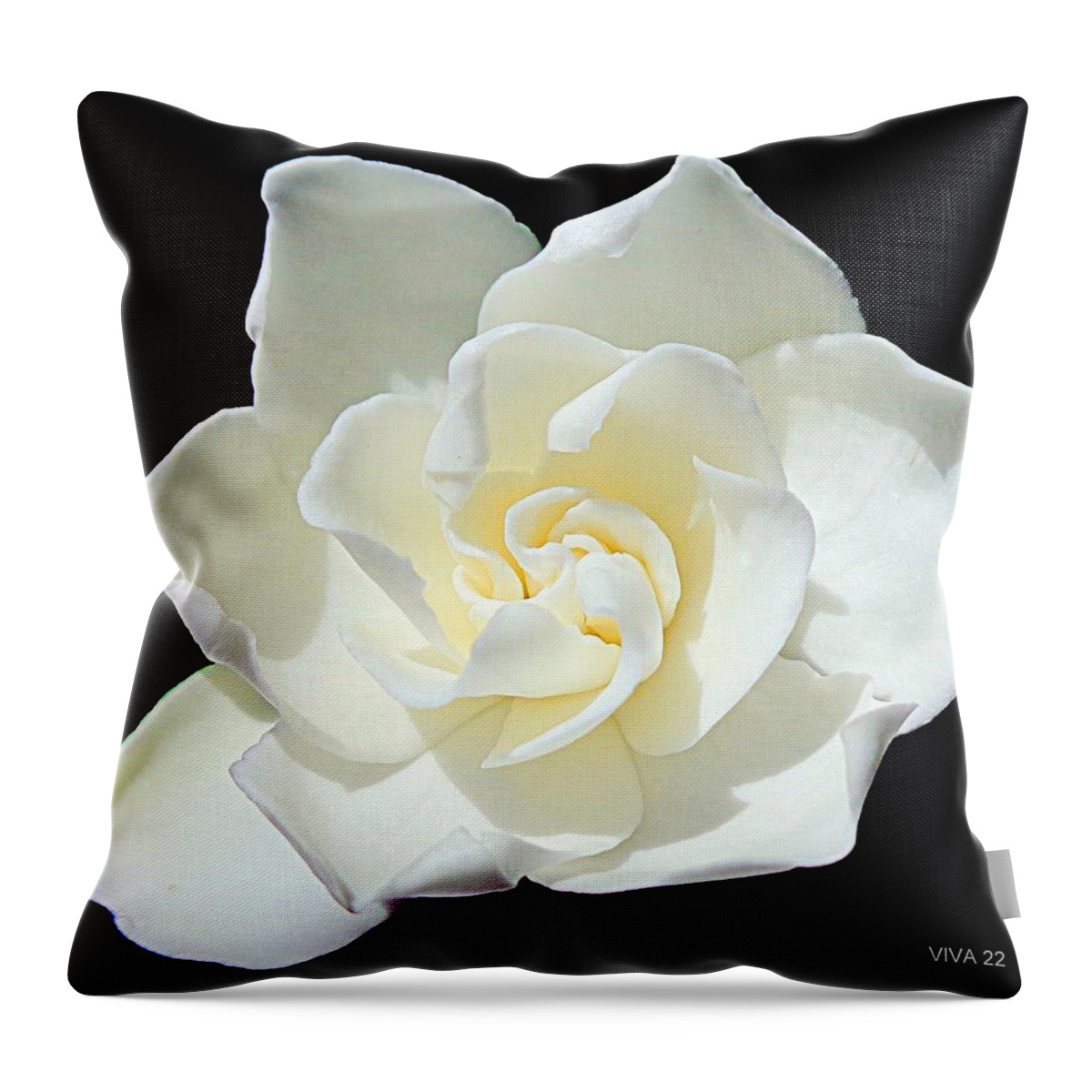 Gardenia Throw Pillow featuring the photograph Gardenia - Aglow by VIVA Anderson