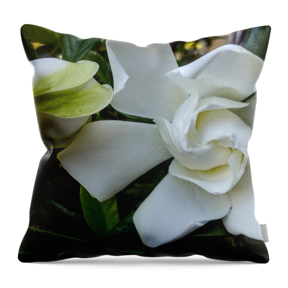  Throw Pillow featuring the photograph Gardenias by Heather E Harman