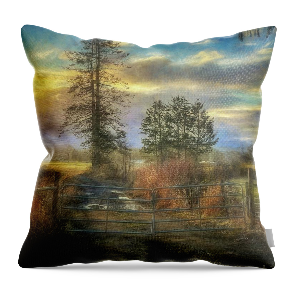 Farm Throw Pillow featuring the painting Gated Farmland by Sue Harper