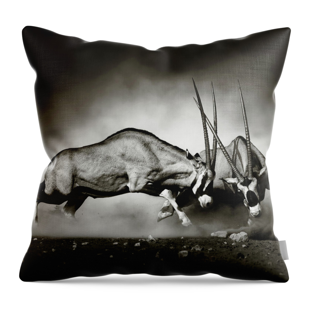 Gemsbok Throw Pillow featuring the photograph Gemsbok dual by Johan Swanepoel