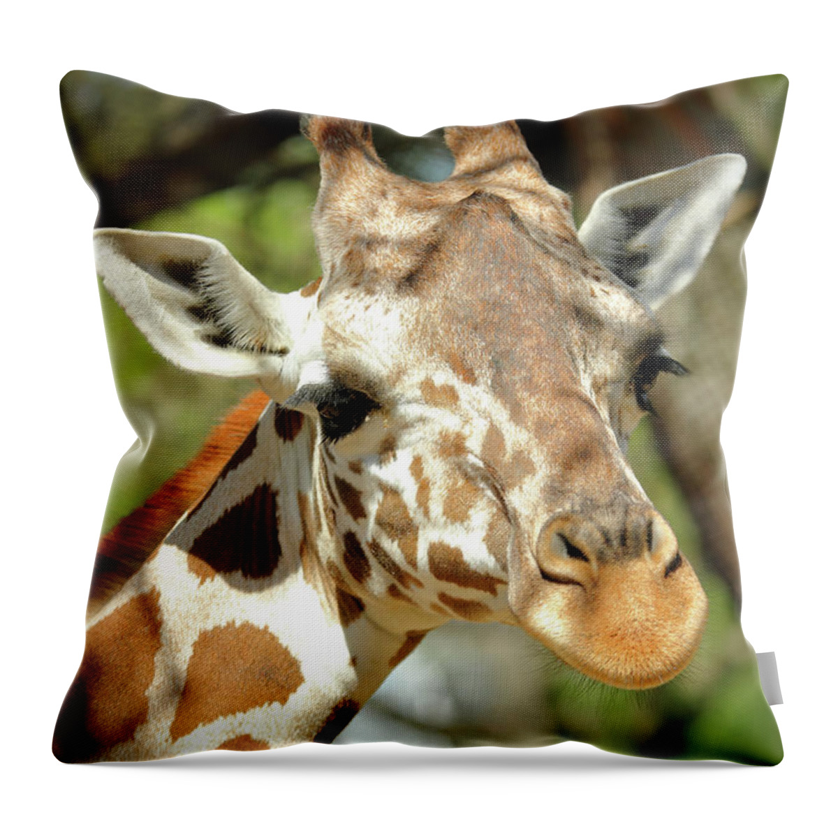 Animal Throw Pillow featuring the photograph Gentle Giant by Lens Art Photography By Larry Trager