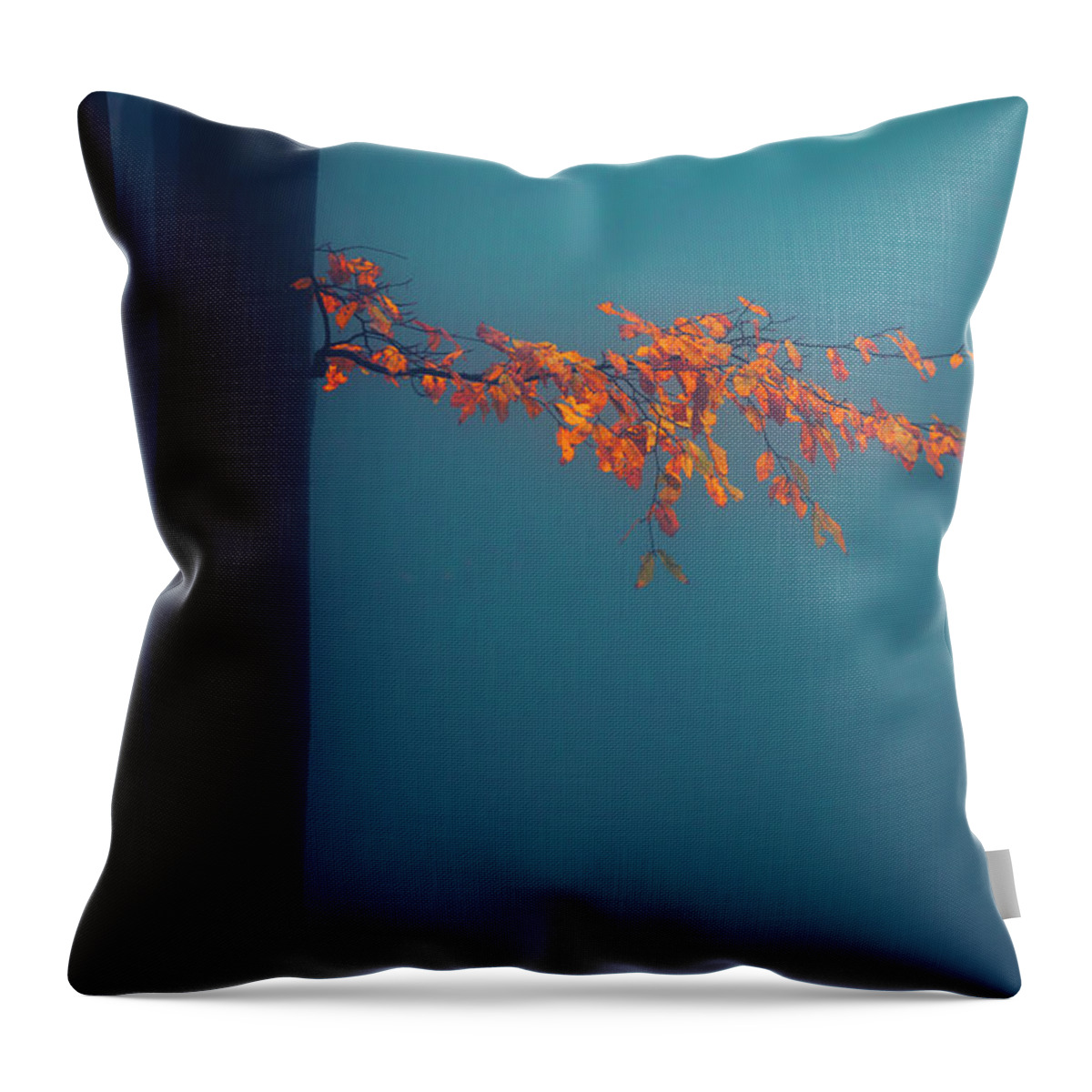 Balkan Mountains Throw Pillow featuring the photograph Gentle Twig by Evgeni Dinev