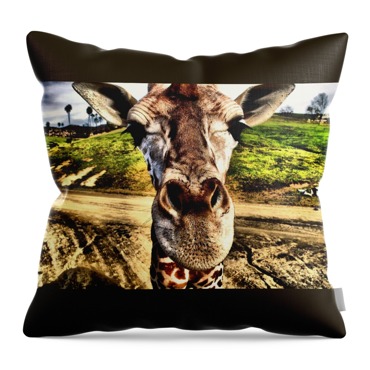 Wildlife Throw Pillow featuring the photograph Geoff the Giraffe by Devin Wilson