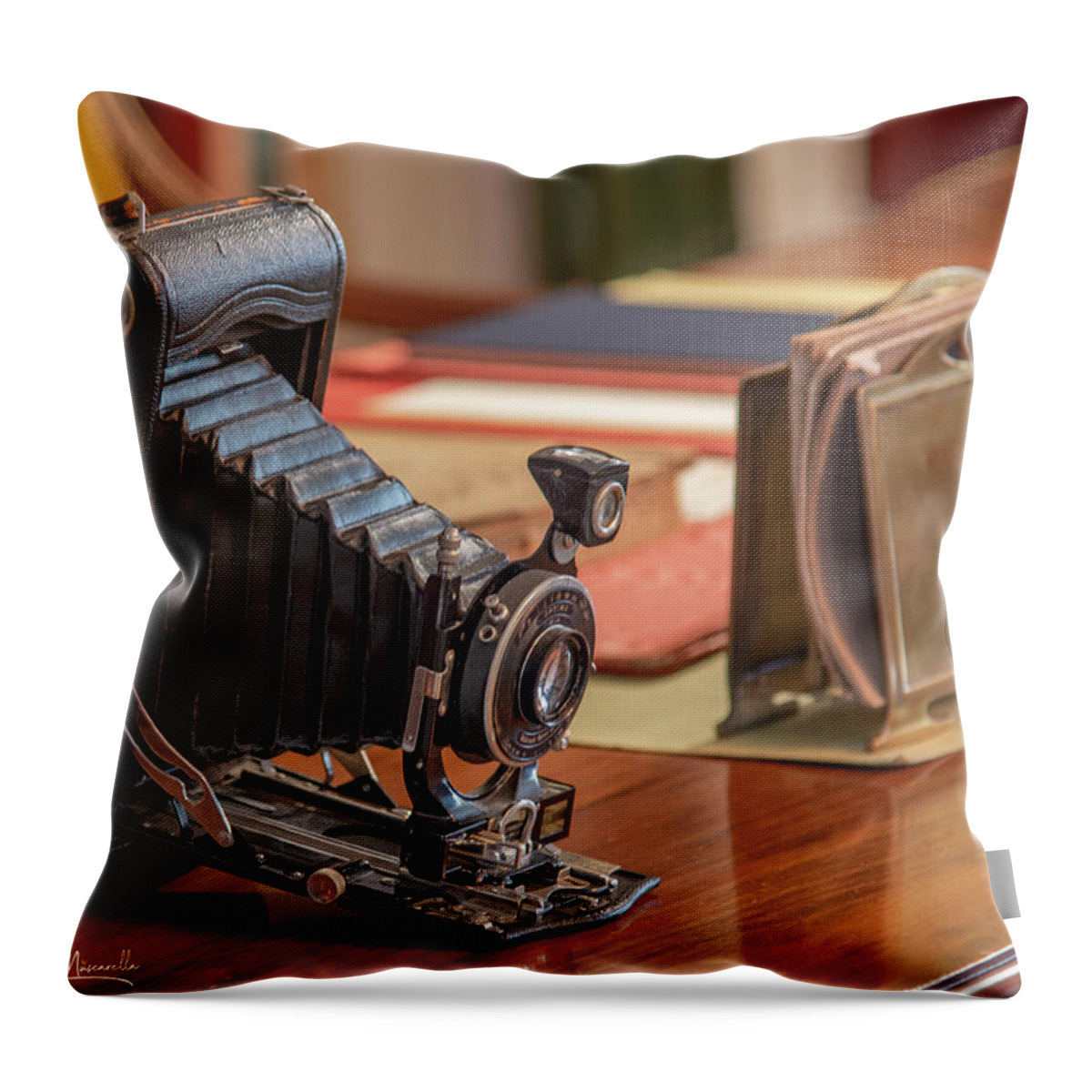 George Eastman. George Eastman House Throw Pillow featuring the photograph George's Camera by Regina Muscarella