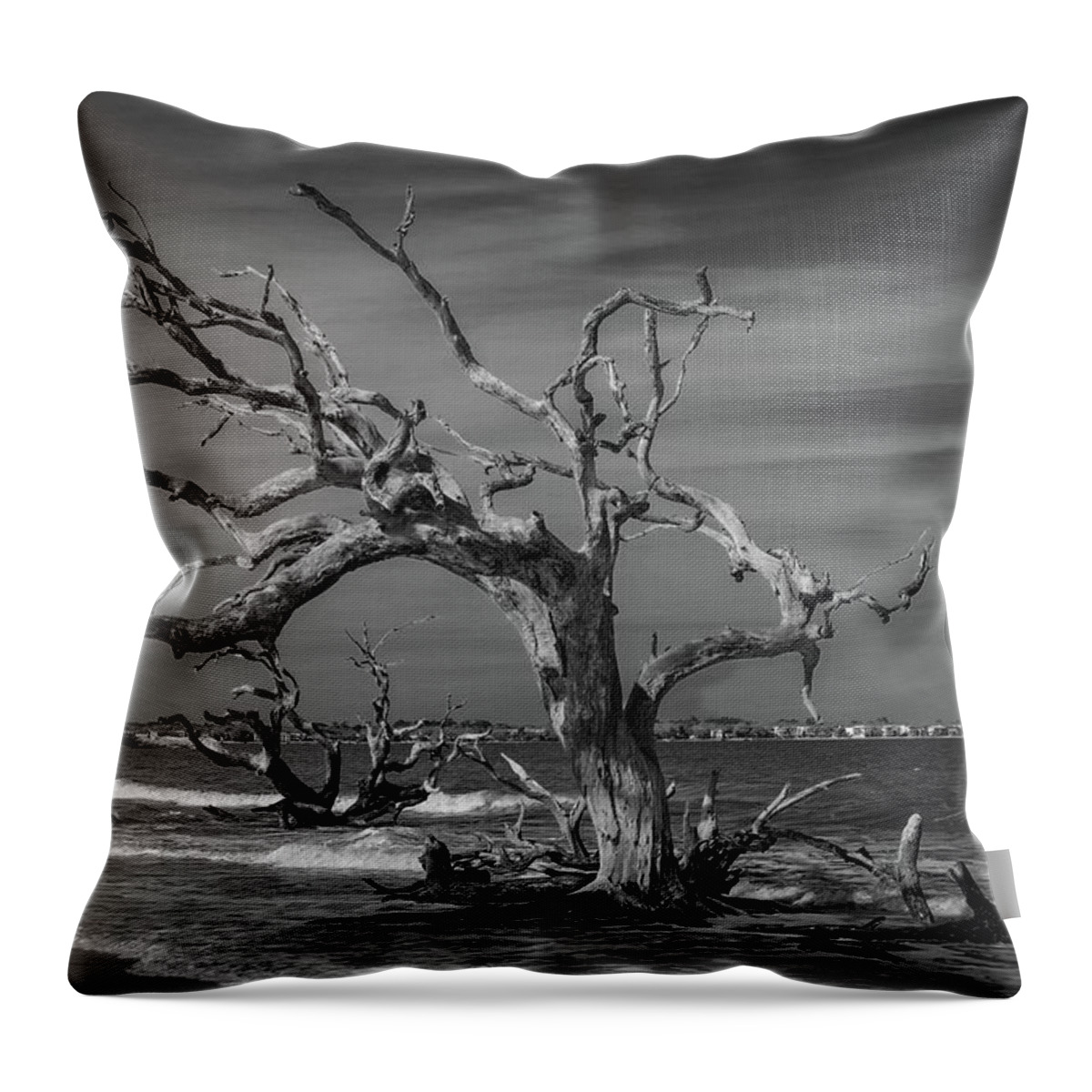 Monochrome Throw Pillow featuring the photograph Ghost Tree by Stephen Sloan