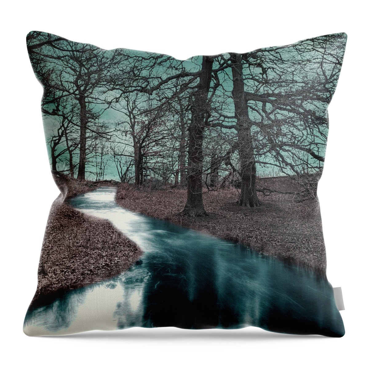 Ghostlands Throw Pillow featuring the digital art Ghostlands by Jason Fink