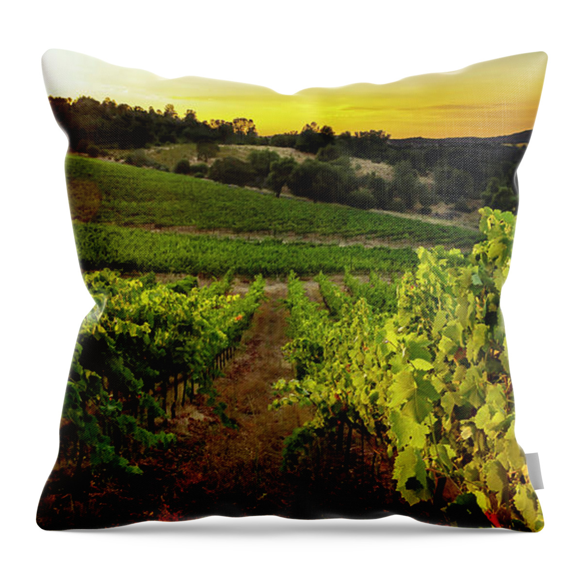 Vineyard Throw Pillow featuring the photograph Gianelli Vineyard 2 by Gary Johnson