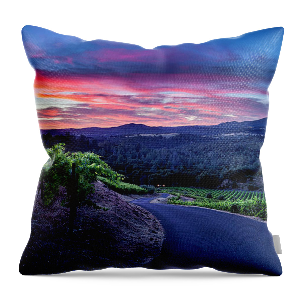 Vineyards Throw Pillow featuring the photograph Gianelli Vineyard by Gary Johnson