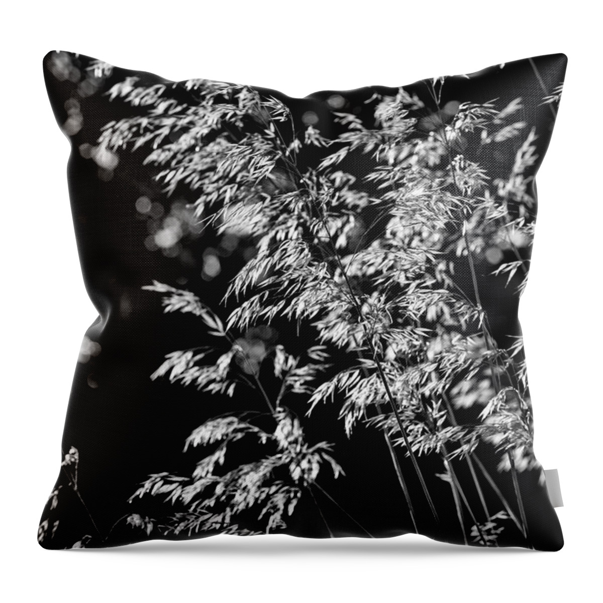 https://render.fineartamerica.com/images/rendered/default/throw-pillow/images/artworkimages/medium/3/giant-feather-grass-monochrome-tim-gainey.jpg?&targetx=0&targety=-119&imagewidth=479&imageheight=718&modelwidth=479&modelheight=479&backgroundcolor=545454&orientation=0&producttype=throwpillow-14-14