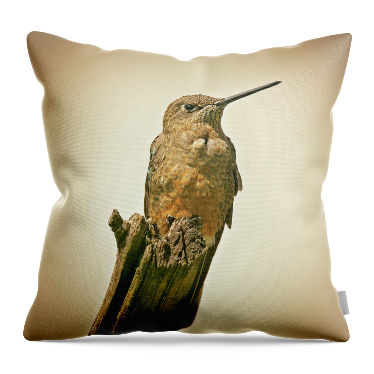 Giant Hummingbird Throw Pillow by Joan Carroll - Fine Art America