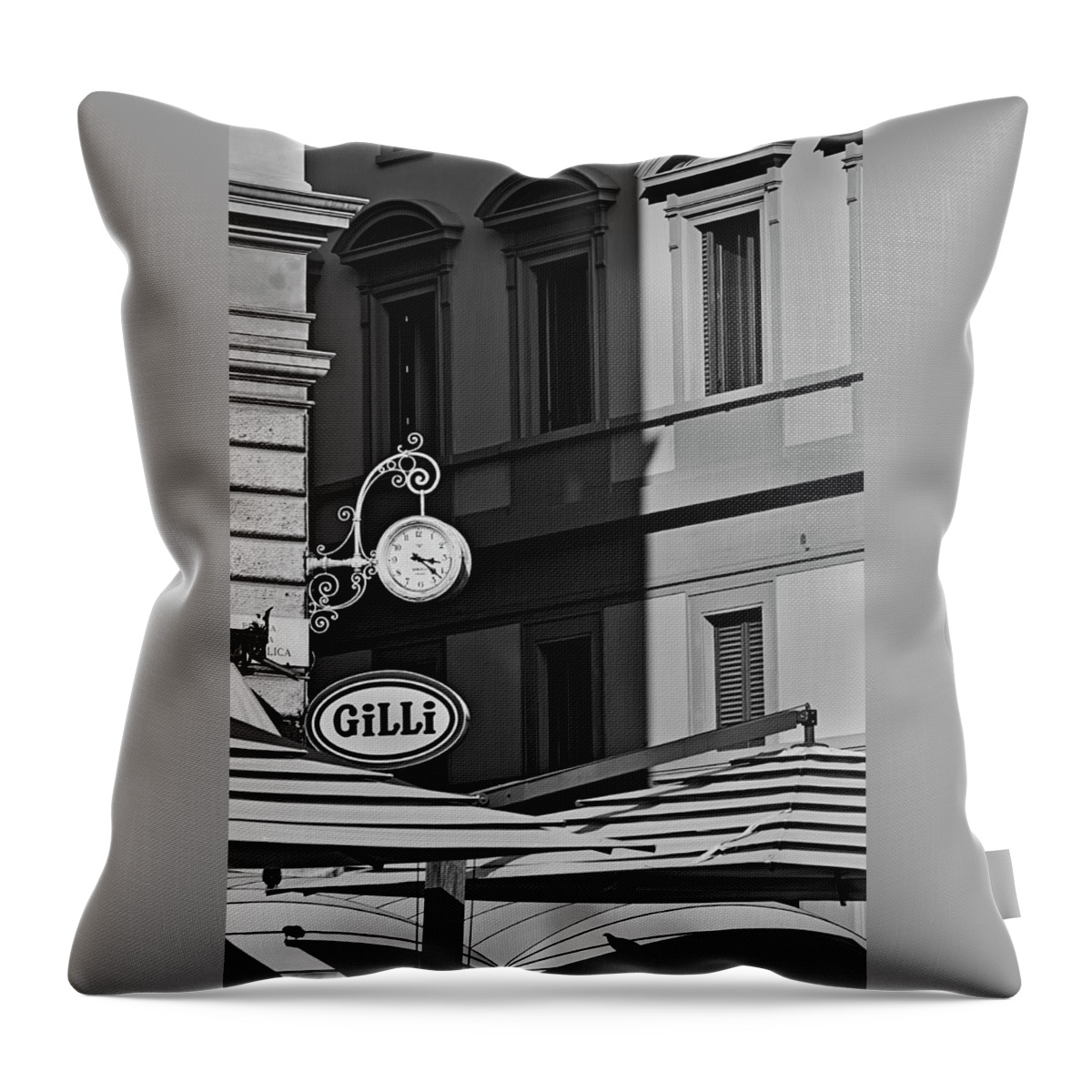 Gilli Throw Pillow featuring the photograph Gilli by Jill Love